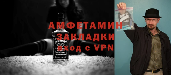 ГАЛЛЮЦИНОГЕННЫЕ ГРИБЫ Богданович