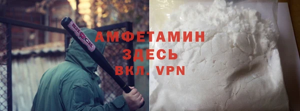 ГАЛЛЮЦИНОГЕННЫЕ ГРИБЫ Богданович