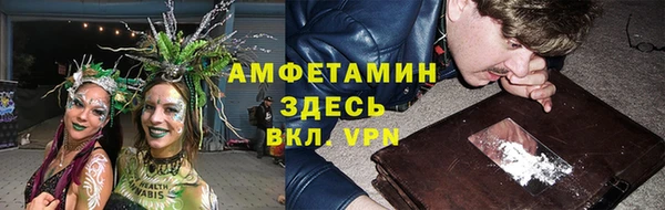 ГАЛЛЮЦИНОГЕННЫЕ ГРИБЫ Богданович